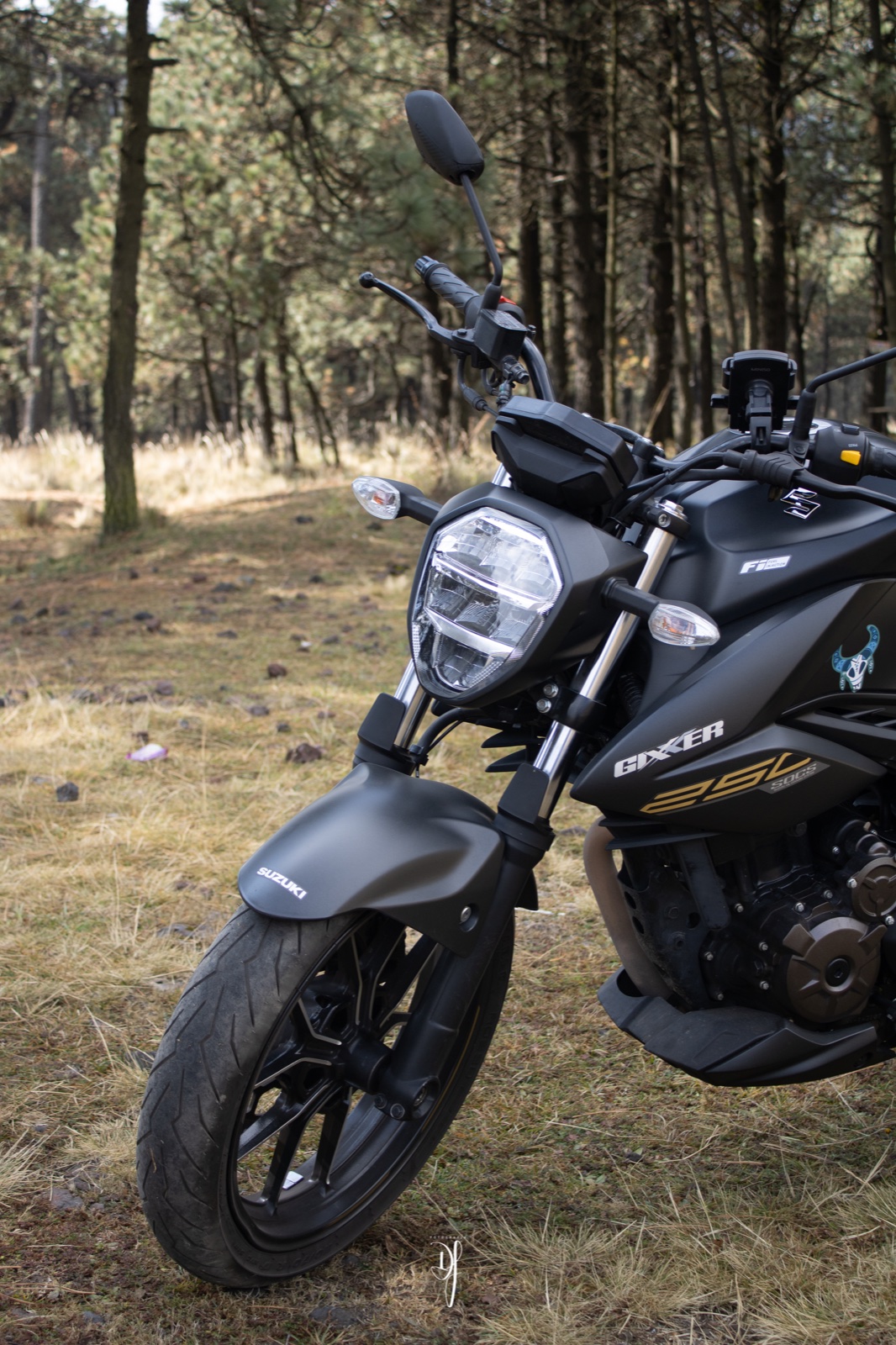 Motocicleta negra fotografiada entre árboles